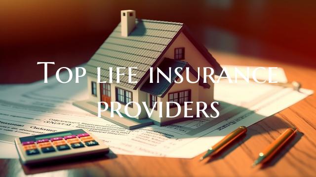 Top life insurance providers