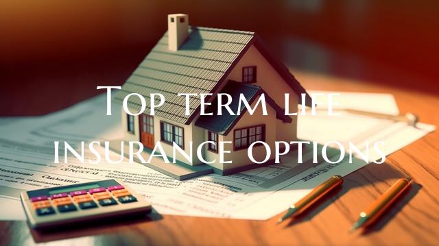 Top term life insurance opti...